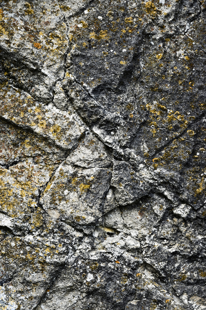 detail of the limestone rock detail of the limestone rock