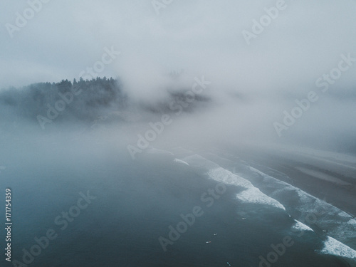 Aerial shot of beach with forest behind in fog