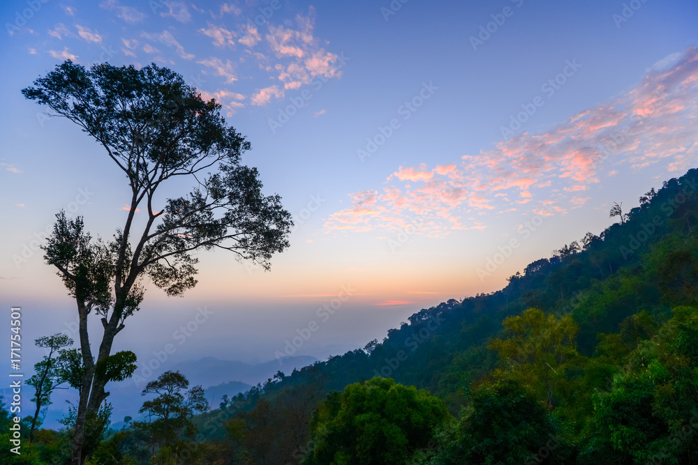 National park landscape with fog in morning