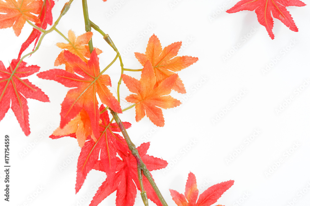 Herbstblätter Herbstblätter