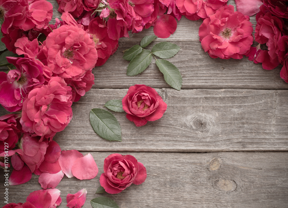 red rose on wooden background