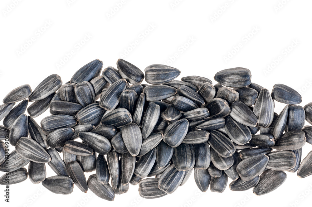 Black Sunflower seeds isolated on white, top view Black Sunflower seeds isolated on white, top view