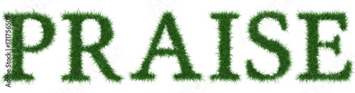 Praise - 3D rendering fresh Grass letters isolated on whhite background.