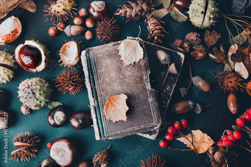 Autumn background with old book top view