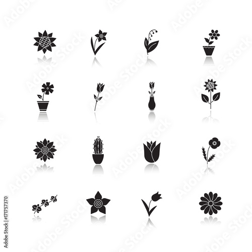 Flowers drop shadow black glyph icons set