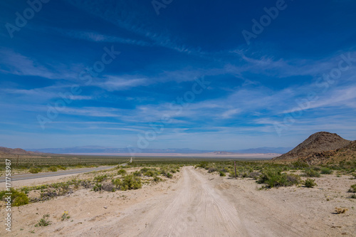 Mojave Desert  California  USA