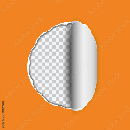 vector realistic illustration of orange torn paper with rolled edge on transparent background