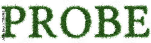 Probe - 3D rendering fresh Grass letters isolated on whhite background.