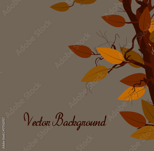 Autumn Colored Leaves Background