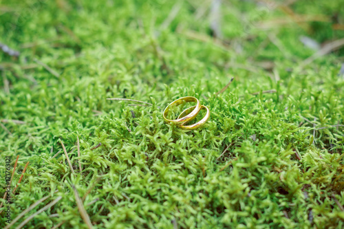 Wedding rings on a green moss. Symbol of love and fidelity.