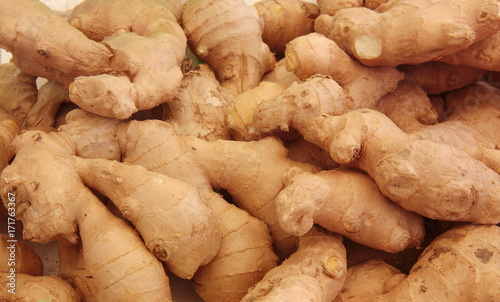 Group of ginger roots