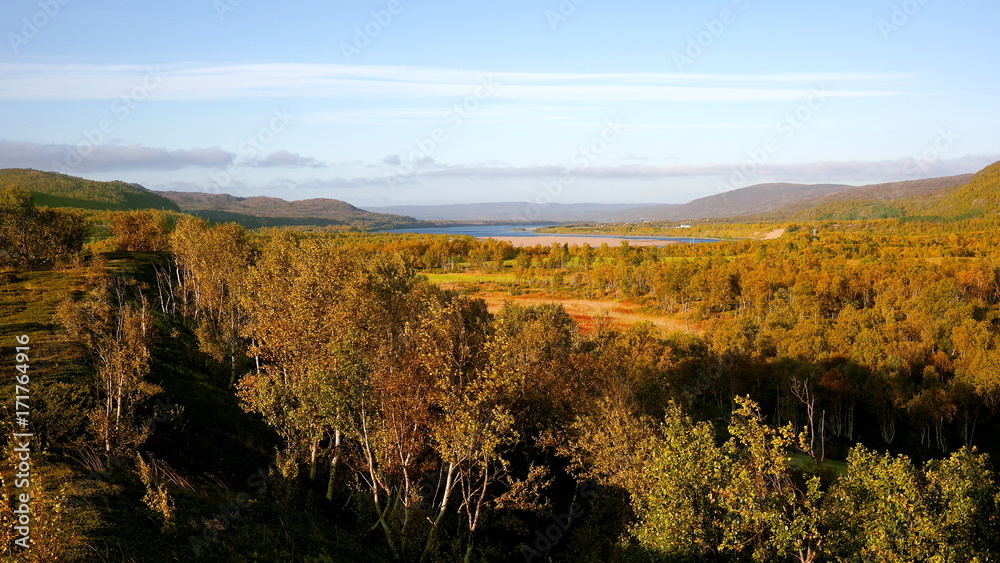 Aerial view of autumn forest in Lappland
