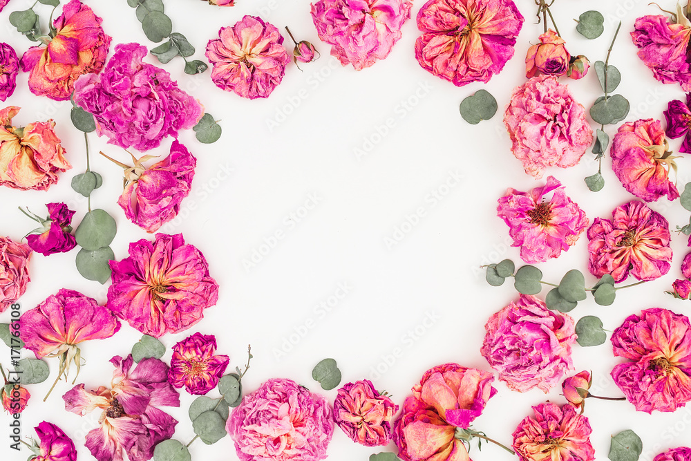 Round floral frame made of pink roses isolated on white background, Flat lay, Top view