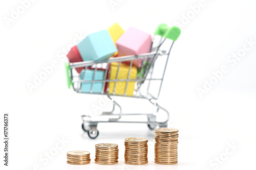 coins in front of shopping cart model