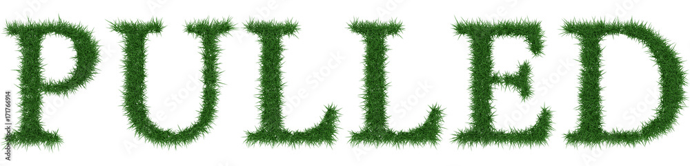 Pulled - 3D rendering fresh Grass letters isolated on whhite background. Pulled - 3D rendering fresh Grass letters isolated on whhite background.