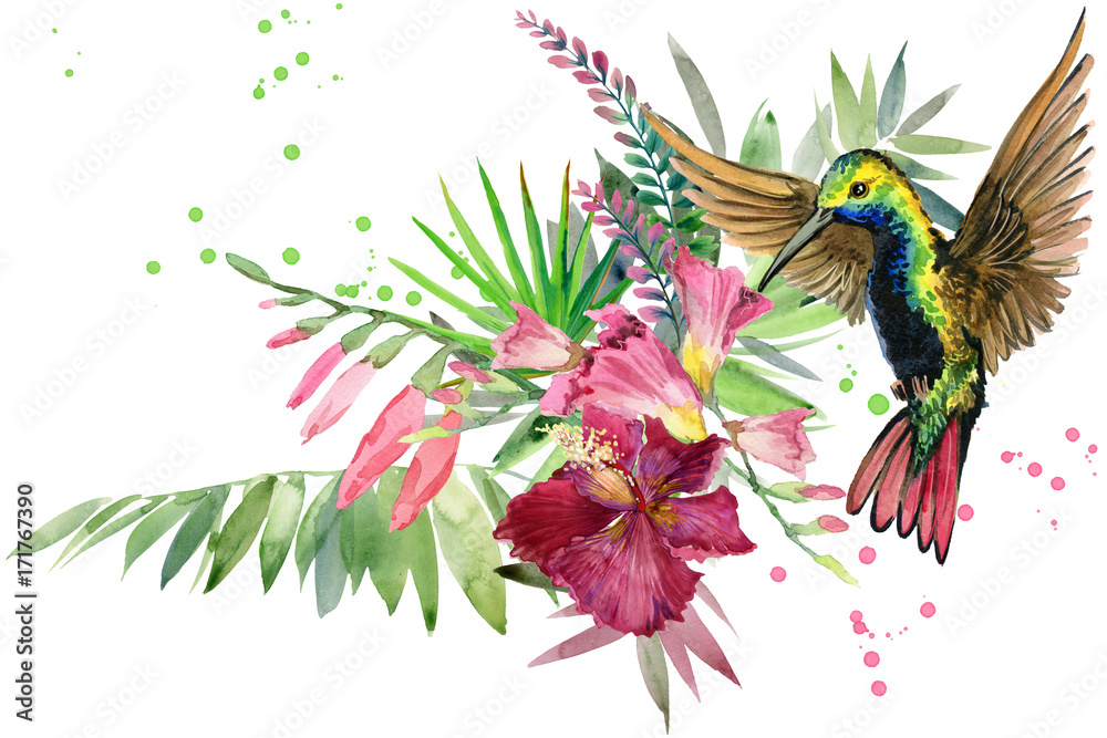 Fototapeta premium piękna tropikalna natura. egzotyczny raj kwiatowy tło. roślina dżungli, ptak i kwiaty. Koliber. akwarela las deszczowy ilustracja.