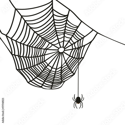 Spinne mit ihrem Spinnennetz