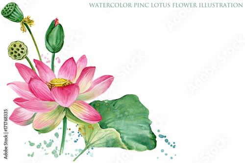 Naklejka różowa granica lotosu. akwarela ilustracja botaniczna.