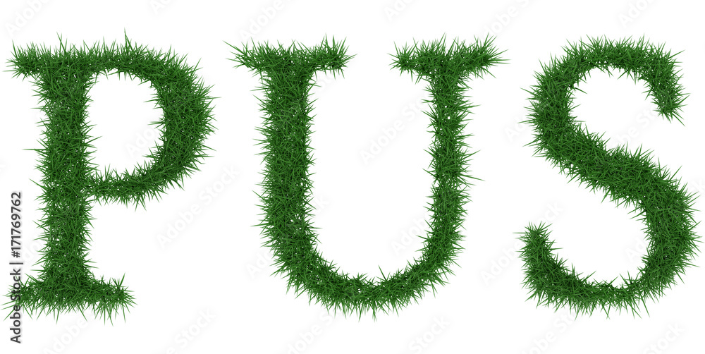 Pus - 3D rendering fresh Grass letters isolated on whhite background. Pus - 3D rendering fresh Grass letters isolated on whhite background.