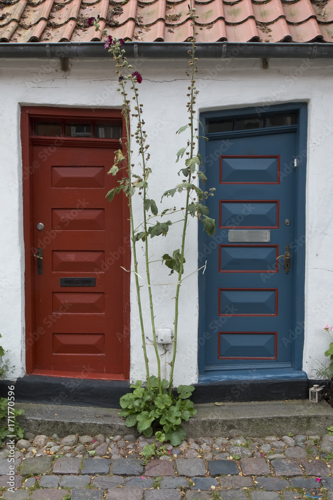 Obraz premium Red and Blue Doors