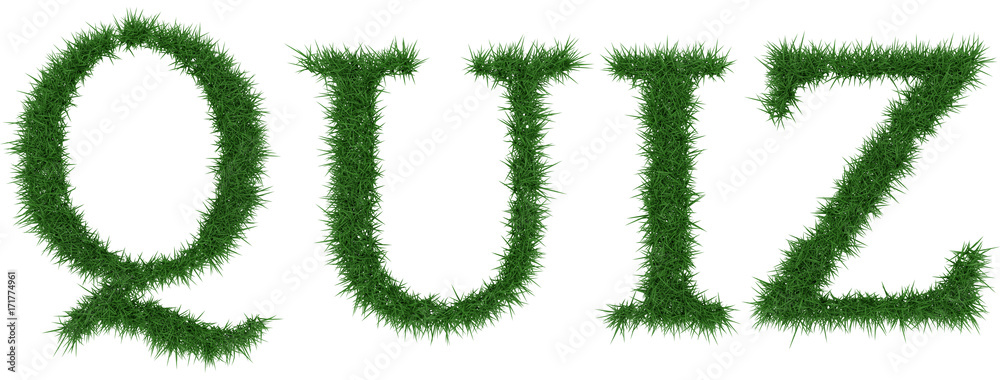 Quiz - 3D rendering fresh Grass letters isolated on whhite background. Quiz - 3D rendering fresh Grass letters isolated on whhite background.