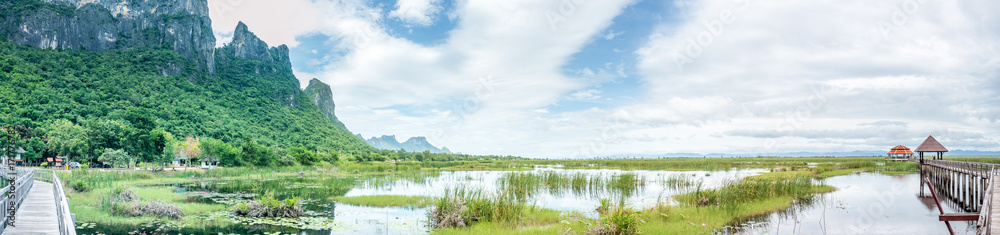 Panoramic view of lotus pond