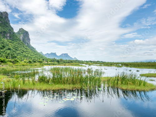 Lotus pond with natural scene © jeafish