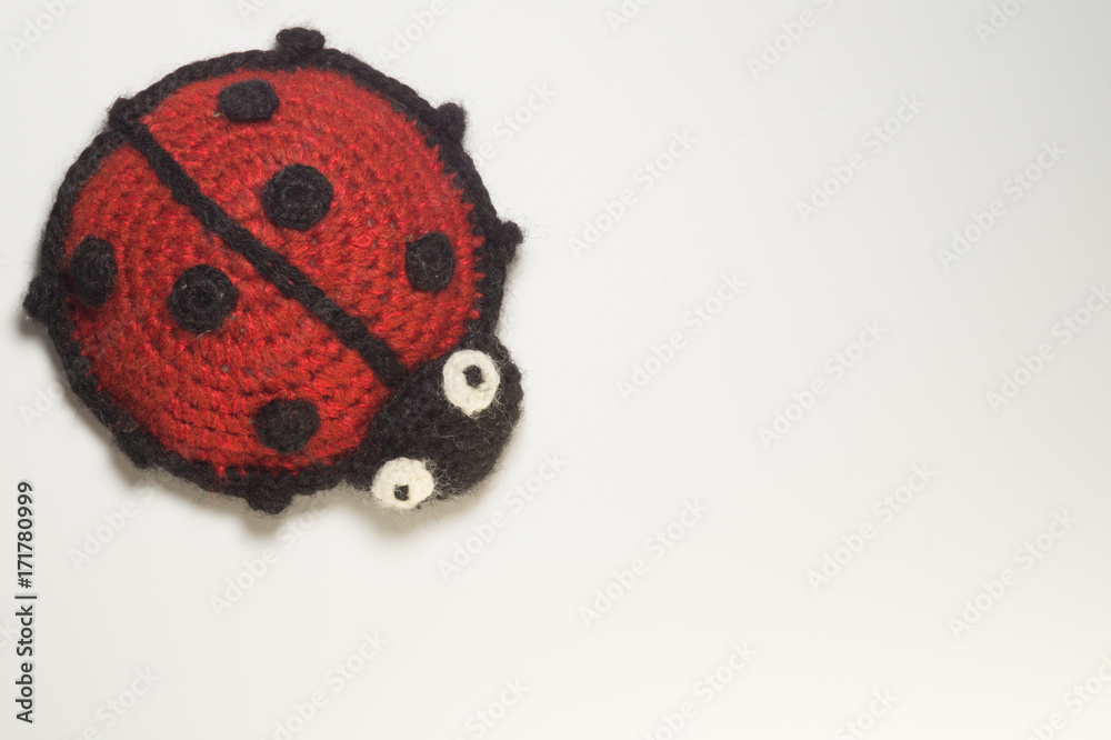 Fototapeta premium Knitting wool toy ladybug isolated on white