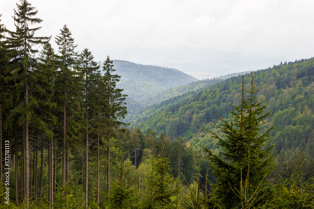 Obraz premium Landscape of mountains