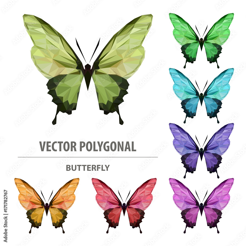 Vector polygonal butterfly. Low poly insect illustration. Triangle color animal image. Vector polygonal butterfly. Low poly insect illustration. Triangle color animal image.