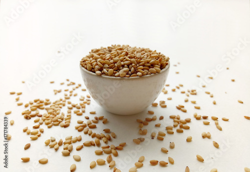 Sesame Seeds