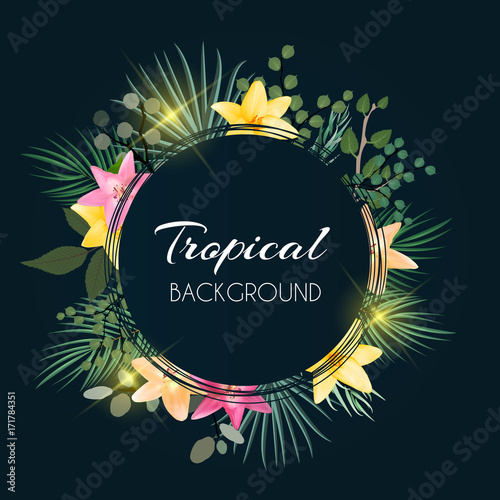 Abstract Natural Tropical Frame Dark Background with Palm and other Leaves an...