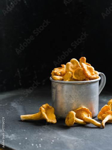 fresh chanterelles in a metal mug on a dark background. Composition with wild mushrooms. copy space