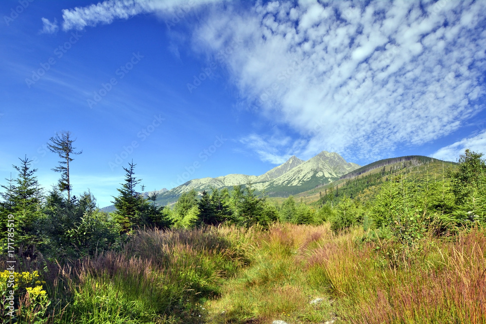 Beautiful scenery of Tatra mountains. Slovakia
