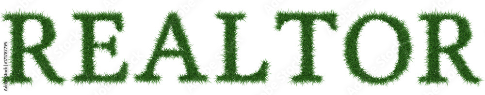 Realtor - 3D rendering fresh Grass letters isolated on whhite background. Realtor - 3D rendering fresh Grass letters isolated on whhite background.
