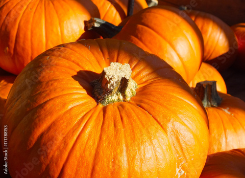 Wallpaper Mural Kübisse Torontodigital.ca