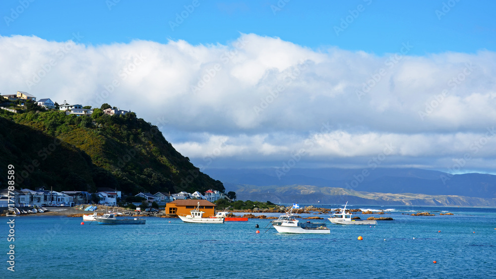 Small harbor around Wellington
