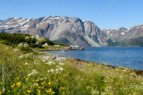 Bild auf Leinwand Beautiful summer day in Finnmark