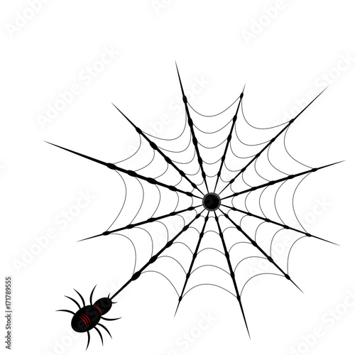 Cobweb set spider web halloween black vector