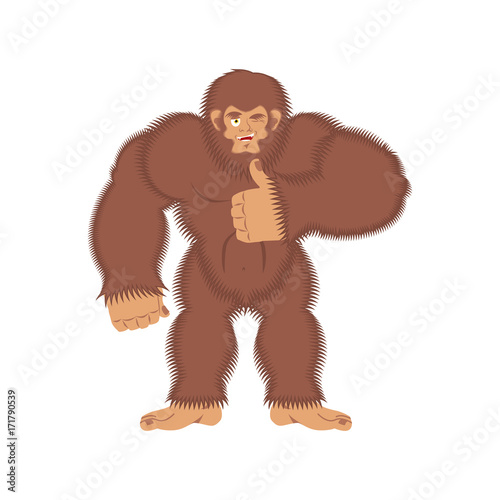 Bigfoot thumbs up. Yeti winks emoji. Abominable snowman cheerful. Vector illustration
