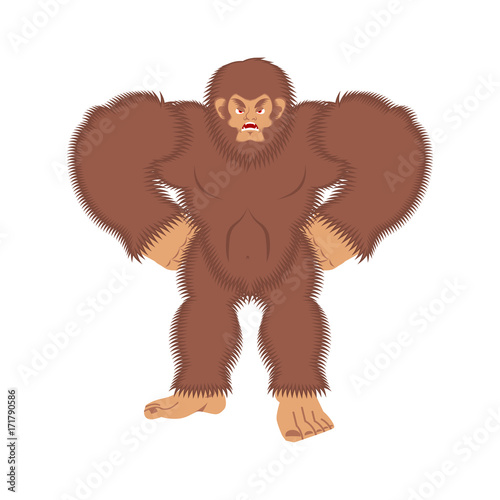 Bigfoot angry. Yeti evil. Abominable snowman aggressive. Vector illustration