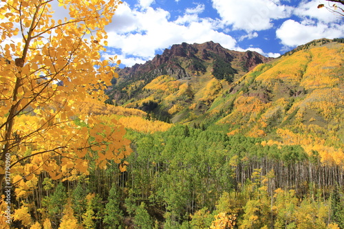 Fototapeta Naklejka Na Ścianę i Meble -  Fall Colors Aspen, Colorado
