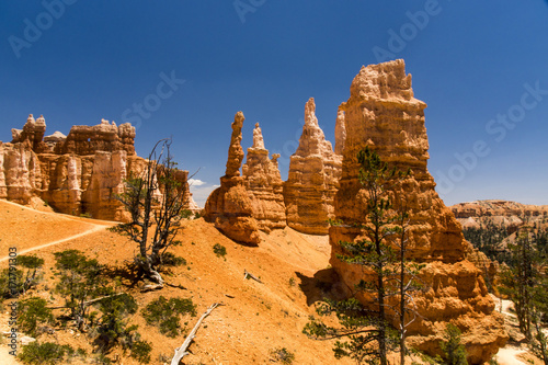 Hoodoos in the Queens Garden in Bryce Canyon National Park