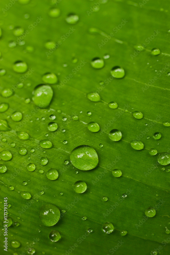 goutte d'eau