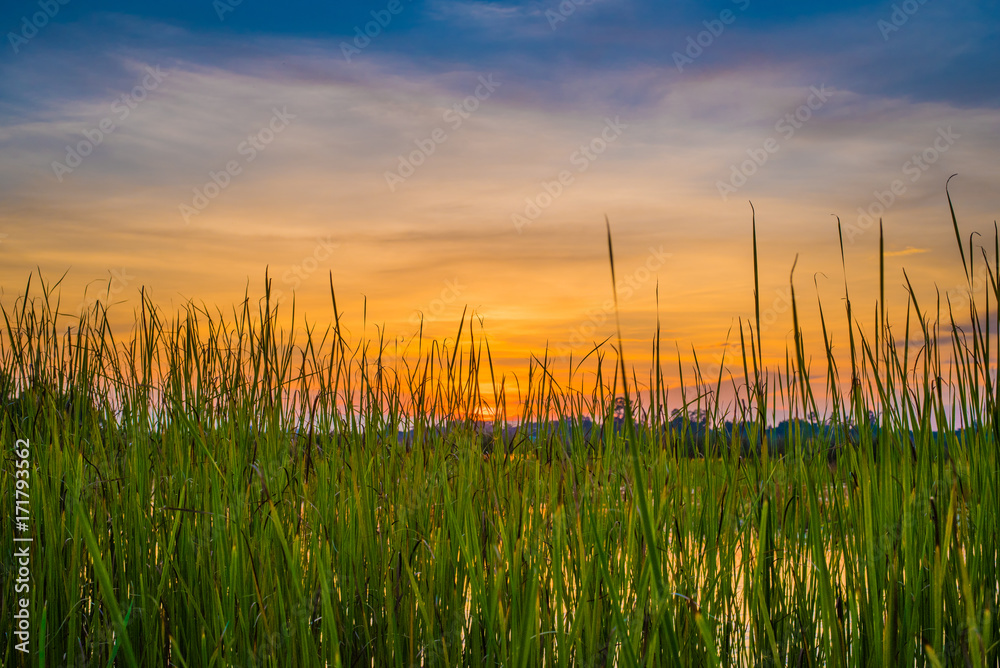 colorful sky at sunset on the lake landscape colorful sky at sunset on the lake landscape