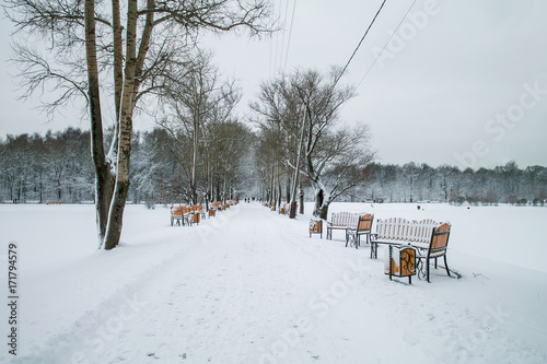 Bench in winter park © Alexey Pelikh