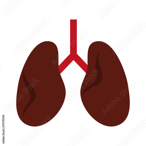 lungs anatomy icon image vector illustration design 