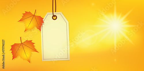 herbst hintergrund weißer anhänger und sonnenschein