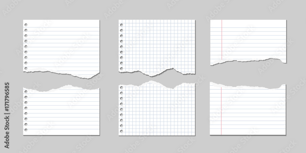 Set of Vector Illustrations of torn pages of notebook paper lined and square - obrazy, fototapety, plakaty 
