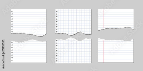 Set of Vector Illustrations of torn pages of notebook paper lined and square
